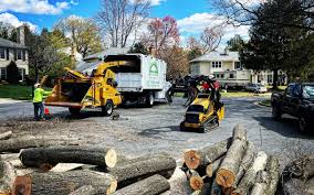 Best Firewood Processing and Delivery  in Woodland, CA